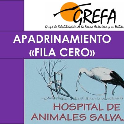 Tarjeta Regalo FILA CERO Anverso