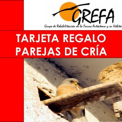 Tarjeta Regalo PAREJAS DE CRÍA Anverso