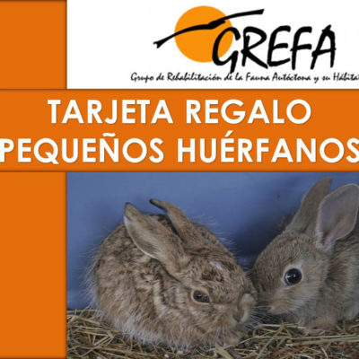 Tarjeta Regalo PEQUEÑOS HUÉRFANOS Anverso