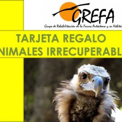 Tarjeta Regalo ANIMALES IRRECUPERABLES Anverso